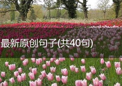 最新原创句子(共40句)