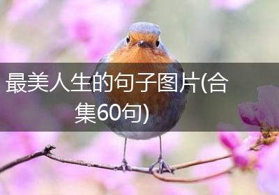 最美人生的句子图片(合集60句)