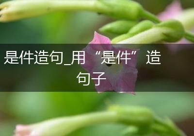 是件造句_用“是件”造句子