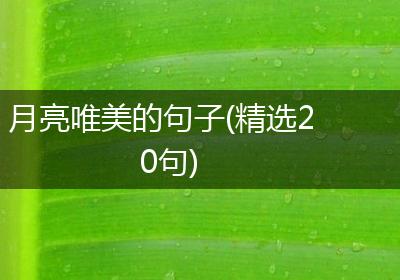 月亮唯美的句子(精选20句)