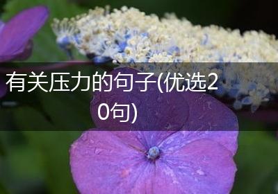 有关压力的句子(优选20句)