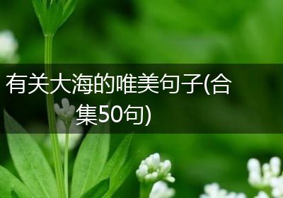 有关大海的唯美句子(合集50句)