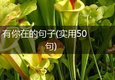 有你在的句子(实用50句)