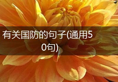 有关国防的句子(通用50句)