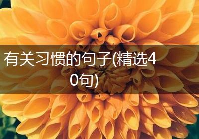 有关习惯的句子(精选40句)