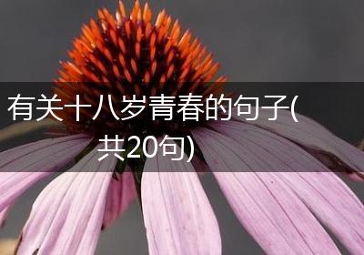 有关十八岁青春的句子(共20句)