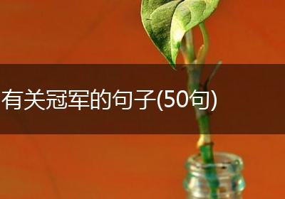 有关冠军的句子(50句)