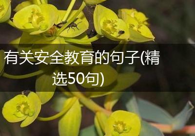 有关安全教育的句子(精选50句)