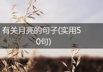 有关月亮的句子(实用50句)