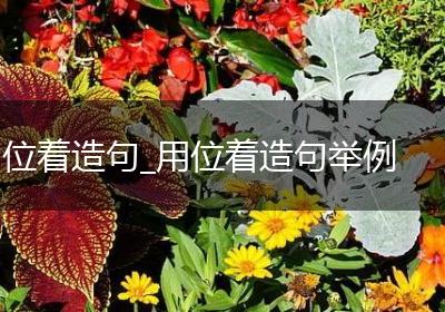 位着造句_用位着造句举例