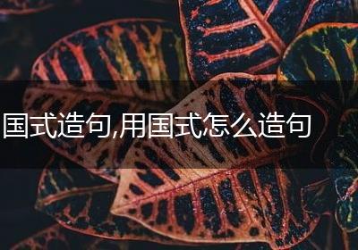 国式造句,用国式怎么造句