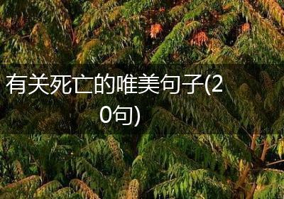 有关死亡的唯美句子(20句)