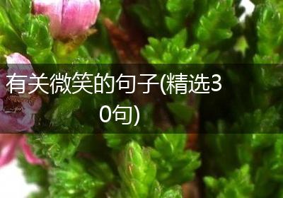 有关微笑的句子(精选30句)
