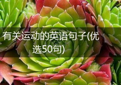有关运动的英语句子(优选50句)