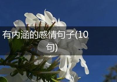 有内涵的感情句子(10句)