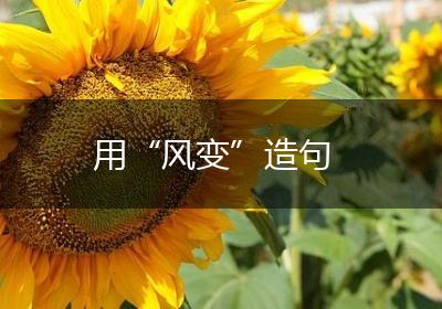 用“风变”造句