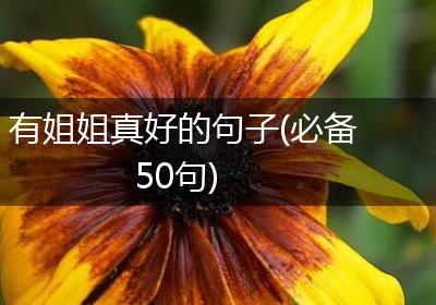 有姐姐真好的句子(必备50句)