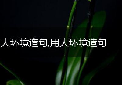 大环境造句,用大环境造句