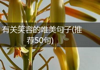 有关笑容的唯美句子(推荐50句)