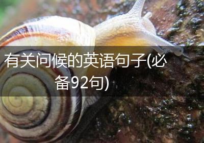 有关问候的英语句子(必备92句)