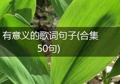有意义的歌词句子(合集50句)