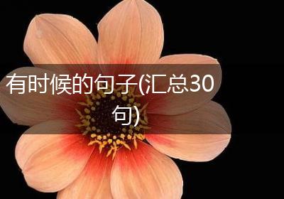 有时候的句子(汇总30句)