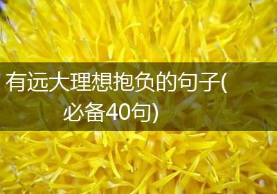 有远大理想抱负的句子(必备40句)