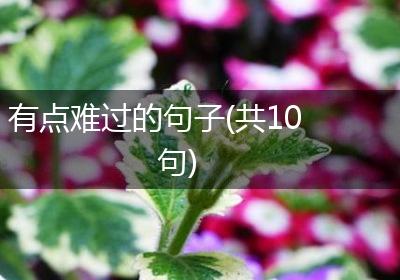 有点难过的句子(共10句)