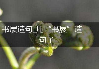 书展造句_用“书展”造句子