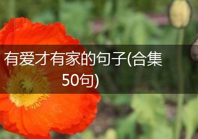 有爱才有家的句子(合集50句)
