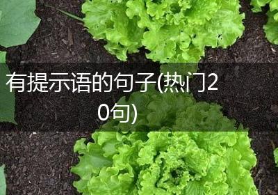 有提示语的句子(热门20句)