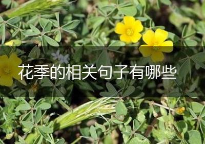 花季的相关句子有哪些
