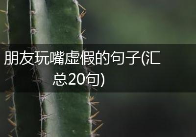 朋友玩嘴虚假的句子(汇总20句)
