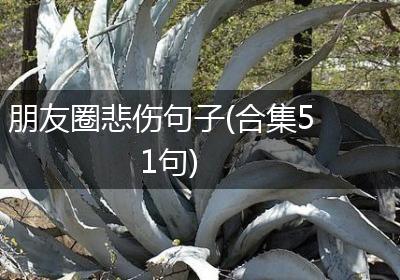 朋友圈悲伤句子(合集51句)