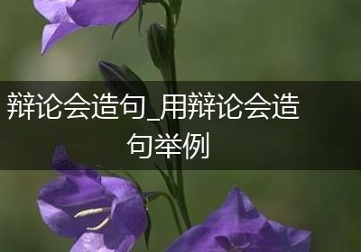 辩论会造句_用辩论会造句举例