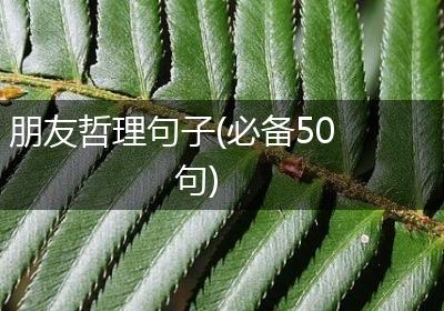朋友哲理句子(必备50句)