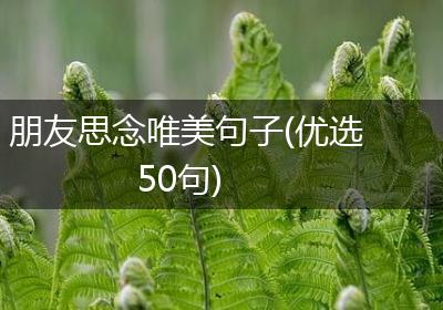 朋友思念唯美句子(优选50句)