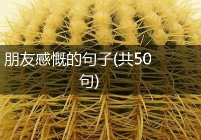 朋友感慨的句子(共50句)