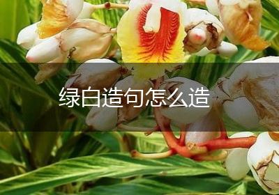 绿白造句怎么造