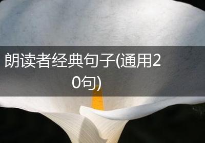朗读者经典句子(通用20句)