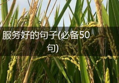 服务好的句子(必备50句)