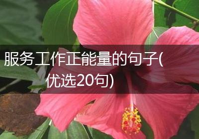 服务工作正能量的句子(优选20句)