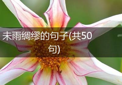 未雨绸缪的句子(共50句)