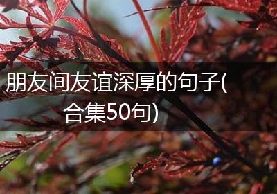 朋友间友谊深厚的句子(合集50句)