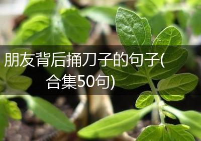 朋友背后捅刀子的句子(合集50句)