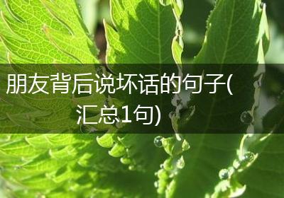 朋友背后说坏话的句子(汇总1句)