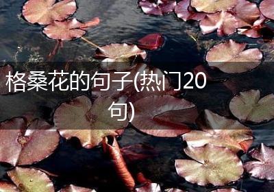 格桑花的句子(热门20句)