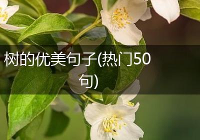 树的优美句子(热门50句)