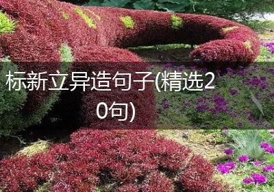 标新立异造句子(精选20句)