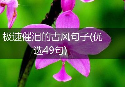 极速催泪的古风句子(优选49句)